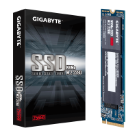 SSD Gigabyte 256GB  M.2 Nvme PCIe