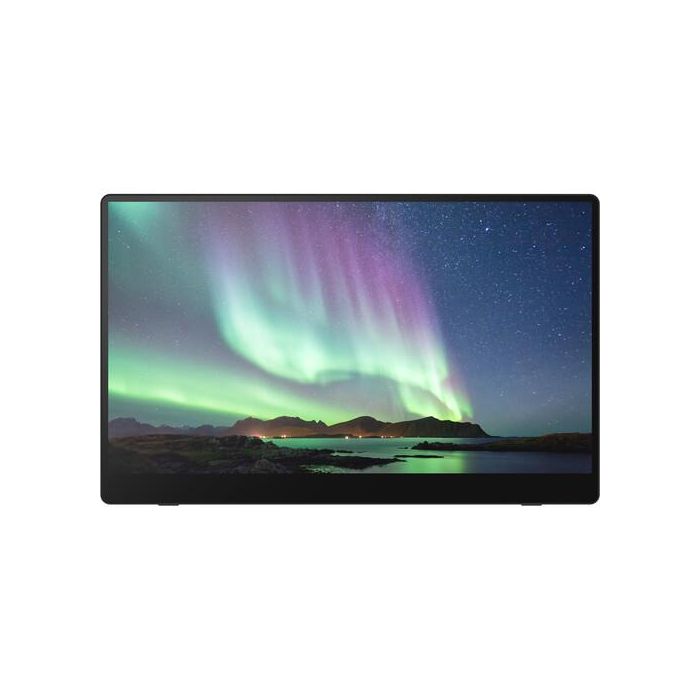 Преносим тъч монитор RICOH 150BW OLED 15.6