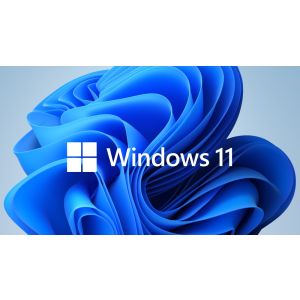 Програмен продукт с лицензен стикер Microsoft Windows 11 Home 64Bit Eng Intl 1pk DSP OEI DVD